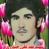نقدعلی حیدری.jpg